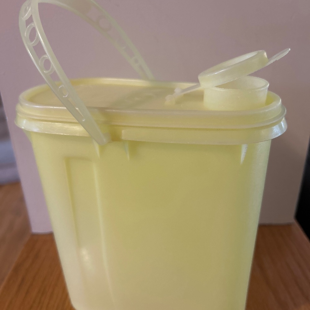 Vintage Tupperware container